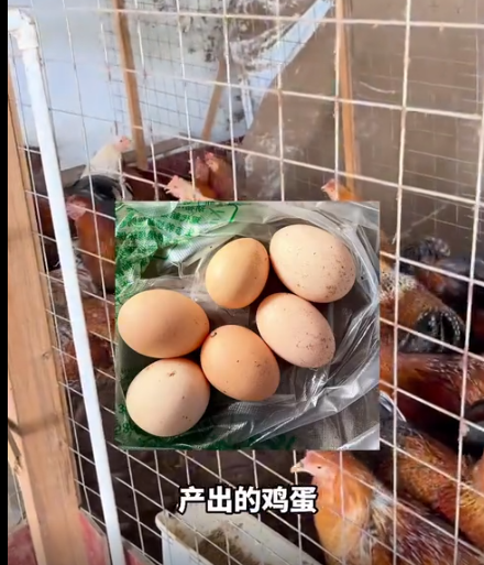 截图20260807105924.png 截图20260807105924.png