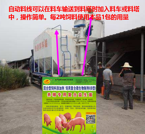 养猪专用复合益生菌添加到自动料线中.png 养猪专用复合益生菌添加到自动料线中.png