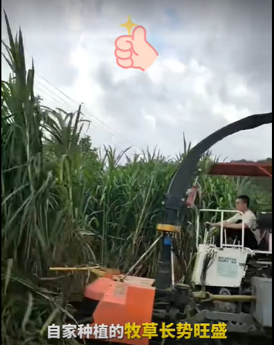 QQ浏览器截图20260810001937.png