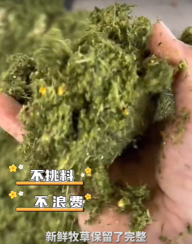 QQ浏览器截图20260810002217.png