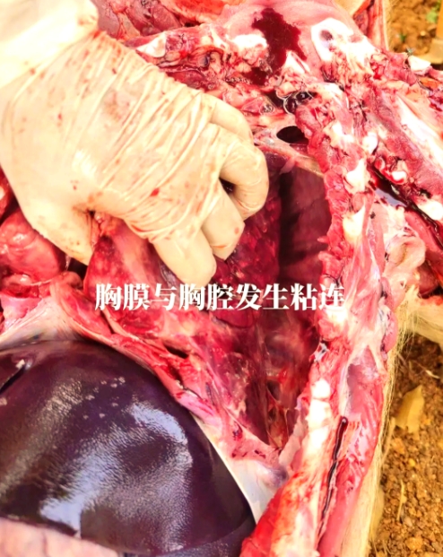 微信截图_20260810091627.jpg 微信截图_20260810091627.jpg