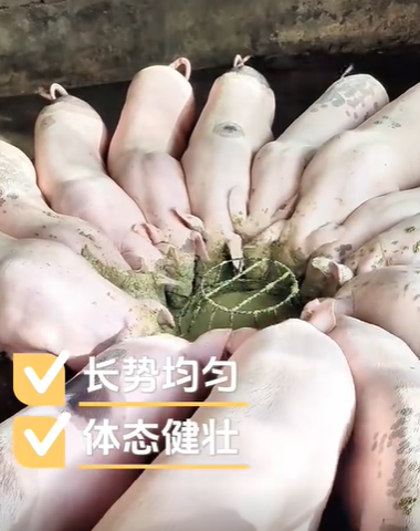 QQ浏览器截图20260814124803.png