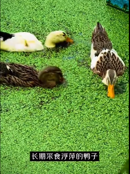 截图20260709091125.png