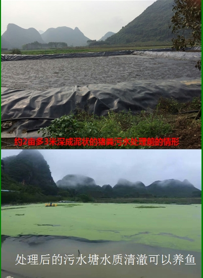 污水处理前后.jpg 污水处理前后.jpg