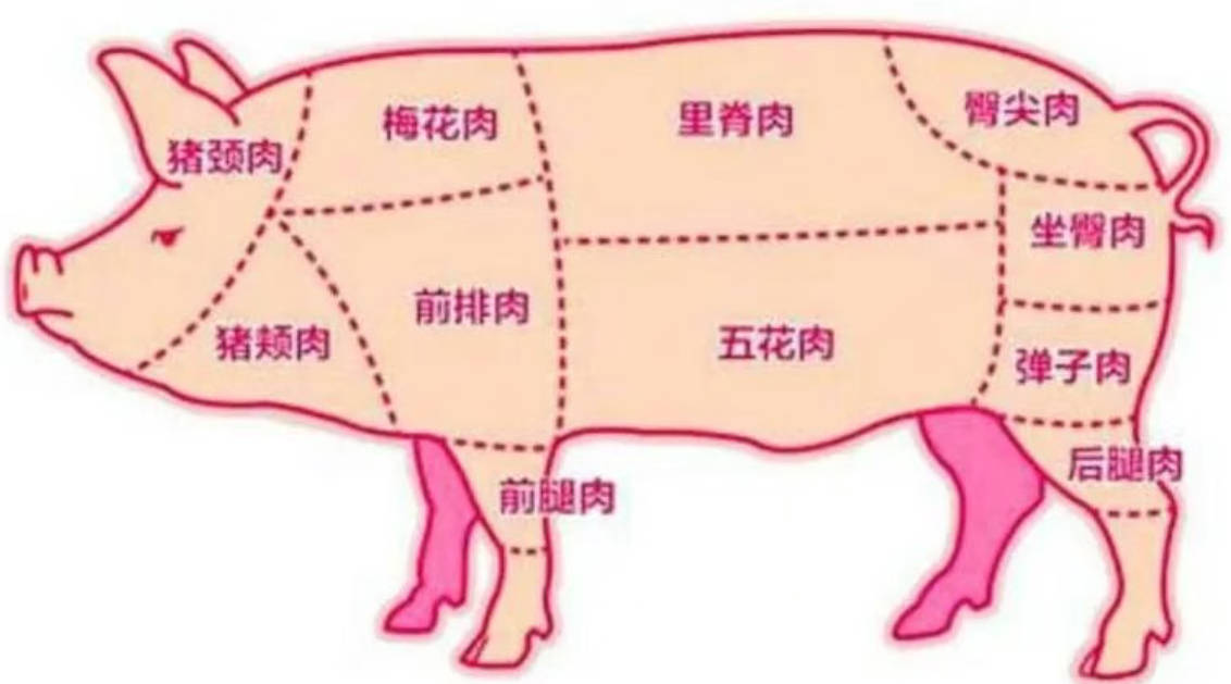 猪全身部位图.jpg