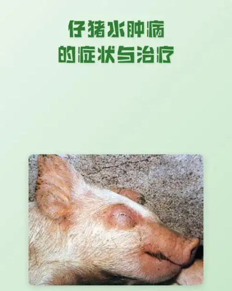 截图20260825100832.png
