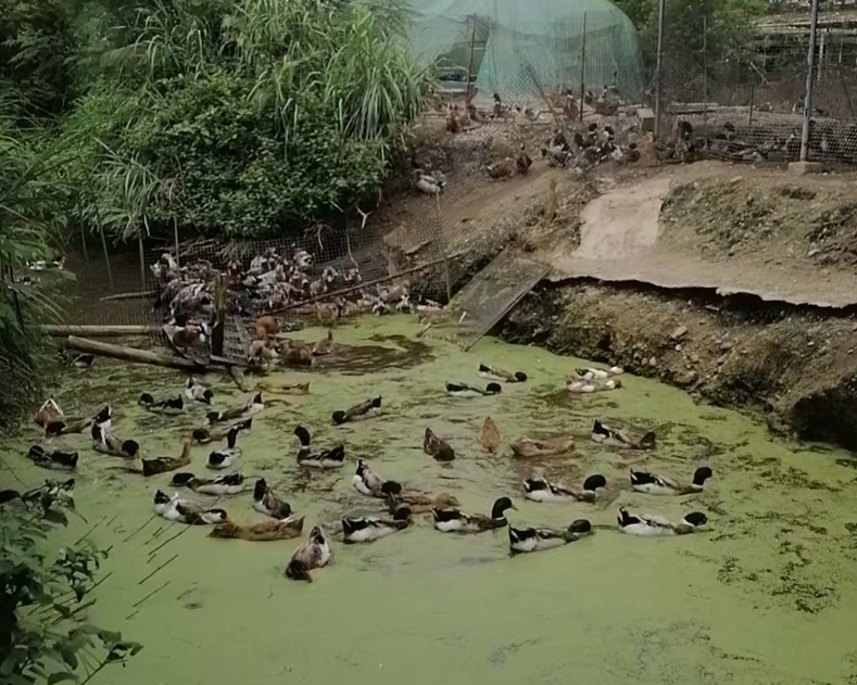 截图20260826132421.png