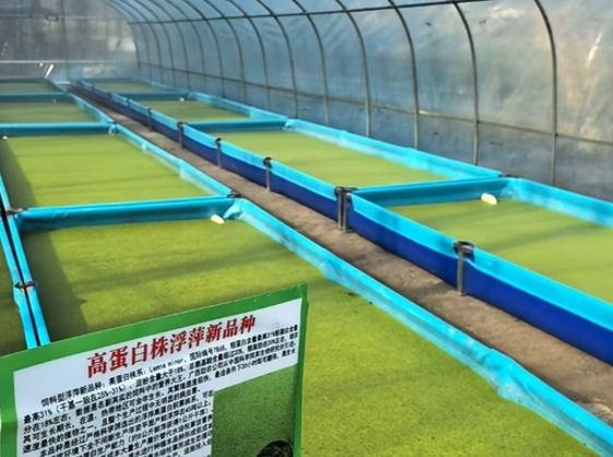 a5f08812-34fb-49cd-b16f-353b2444f2a5.png