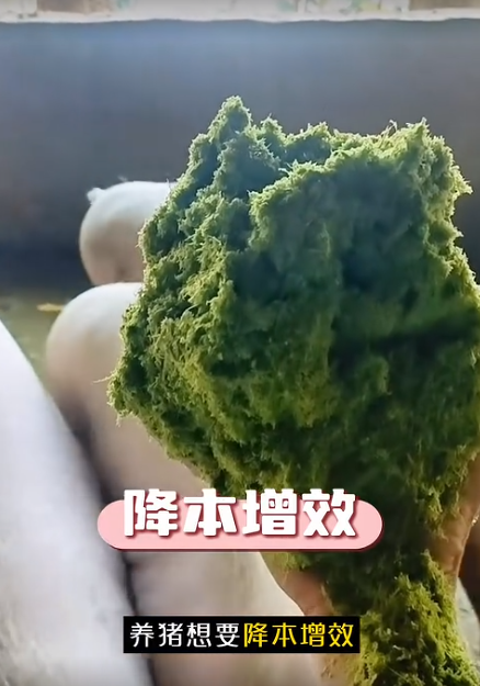 截图20260901093737.png