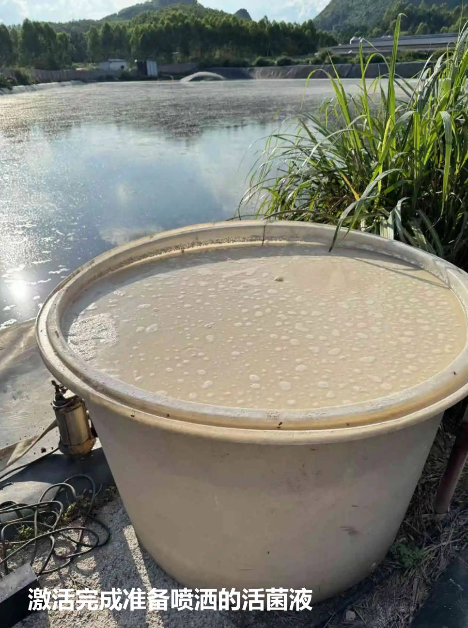 激活完成准备喷洒的活菌液.jpg