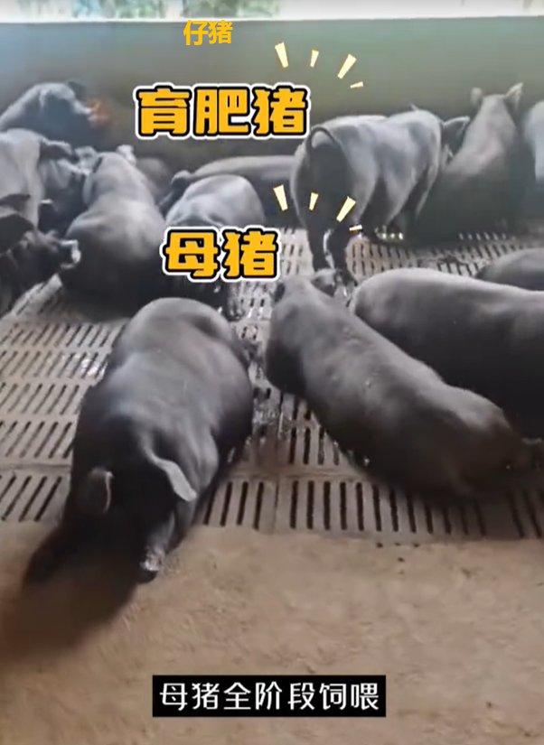QQ浏览器截图20260902225851.png