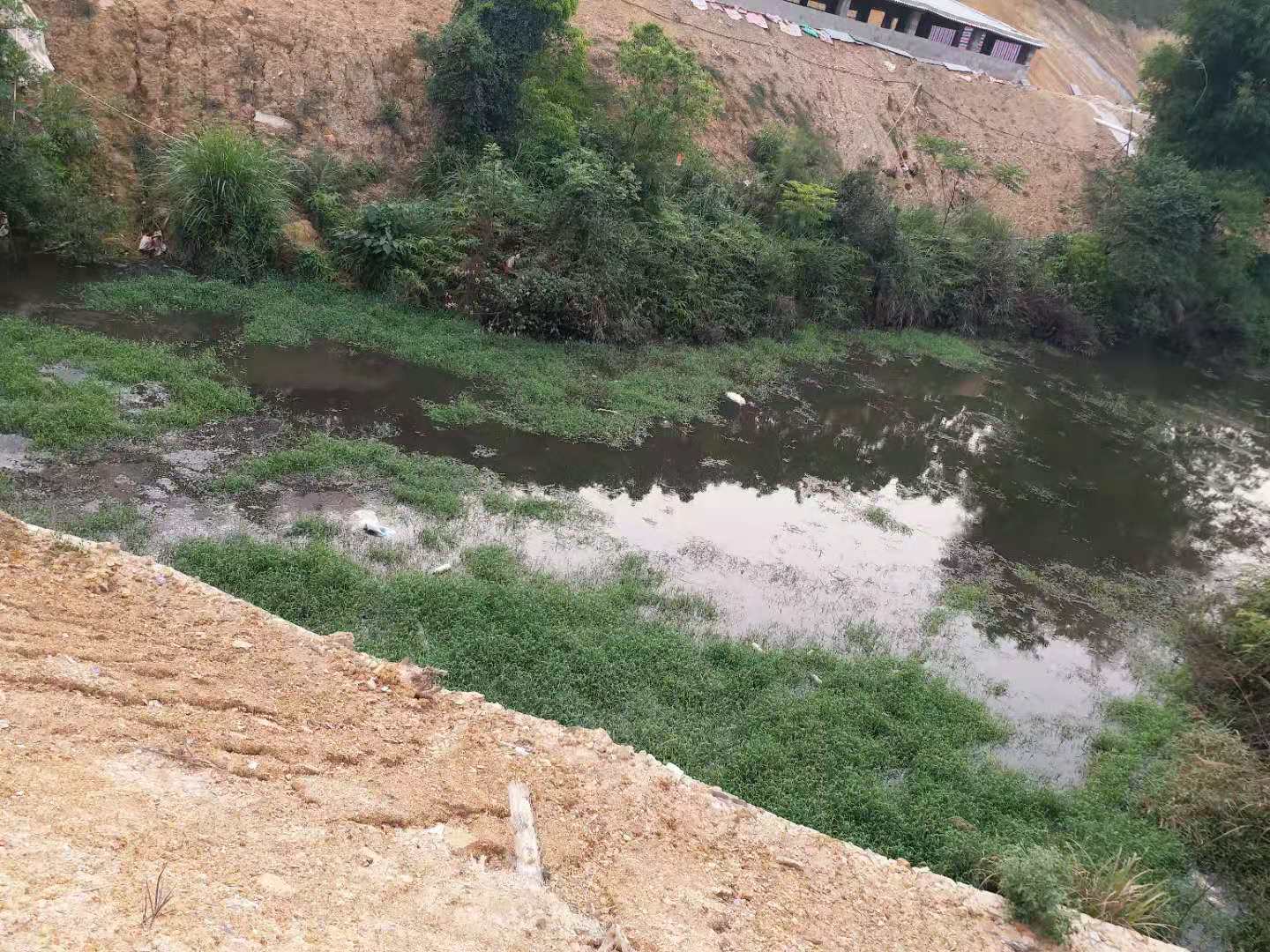 养殖场偷排污水4.jpg