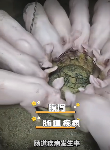 QQ浏览器截图20260903223424.png