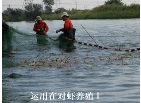 QQ浏览器截图20260904222849.png