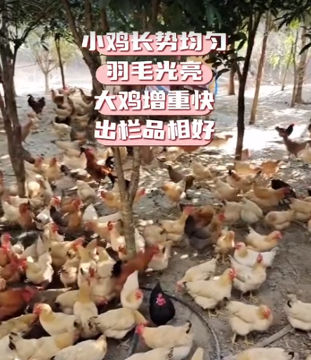 截图20260908092949.png