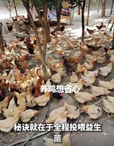 QQ浏览器截图20260908213426.png