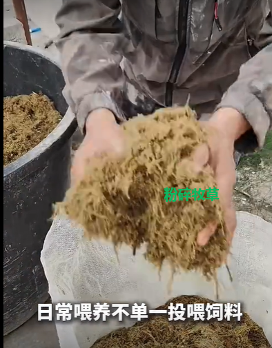 QQ浏览器截图20260909225129.png