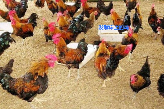 QQ浏览器截图20260909225829.png