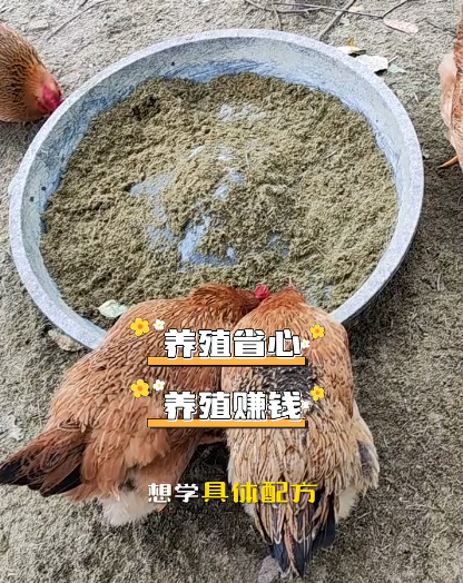 image.png image.png