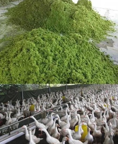 QQ浏览器截图20260916224318.png