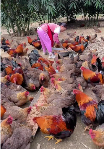 截图20260919101347.png