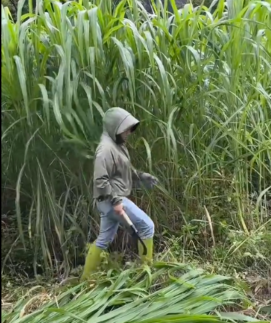 QQ浏览器截图20260929214641.png
