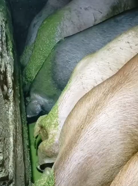 截图20261010092155.png