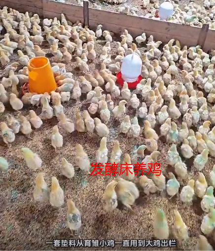截图20261013100443.png 截图20261013100443.png
