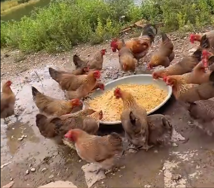 截图20261016093031.png