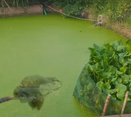 截图20261024103400.png