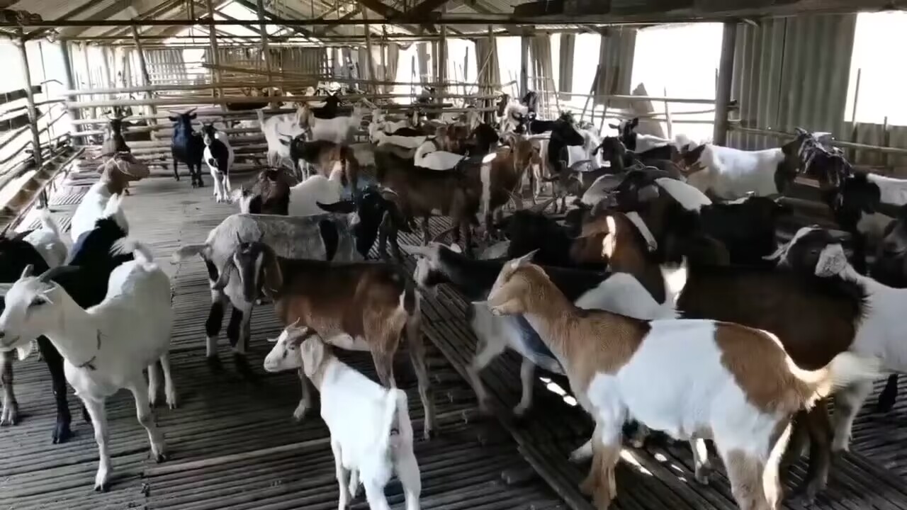 QQ图片20230318141312.jpg