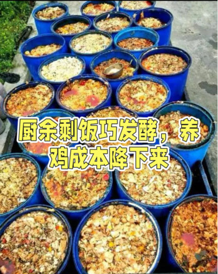 QQ图片20261027140529.png