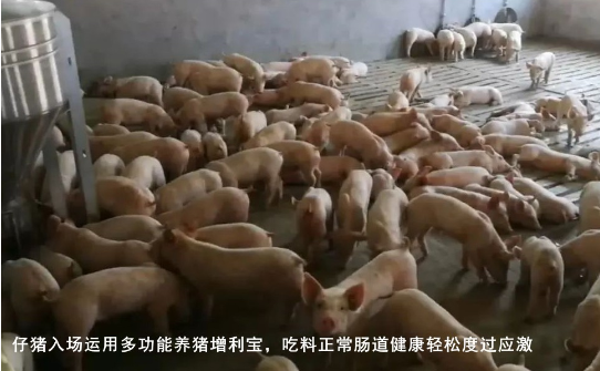 截图20261029100636.png