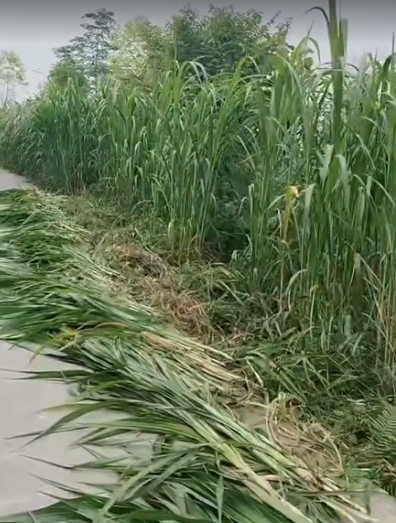 截图20261030101742.png